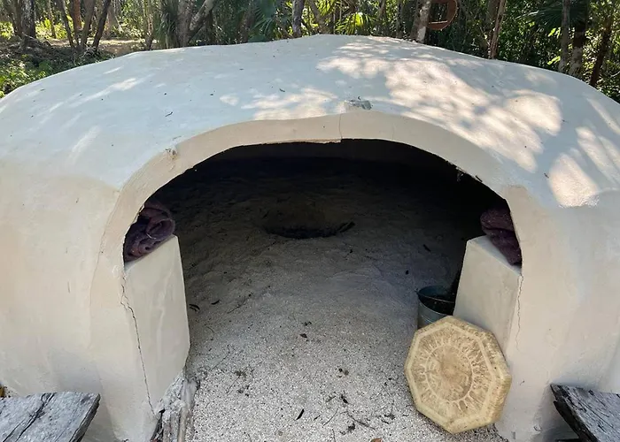 Unique Jungle Dome Ik *