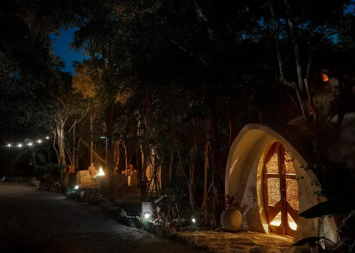 Lodge Unique Jungle Dome Ik *