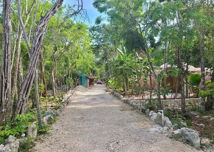 Lodge Unique Jungle Dome Ik