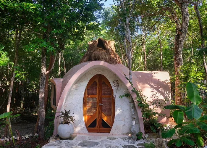 Unique Jungle Dome Ik