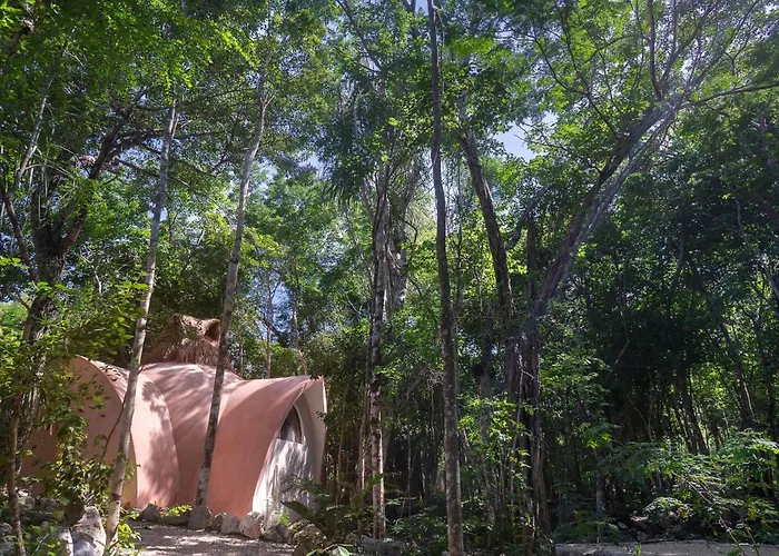 Unique Jungle Dome Ik Lodge *